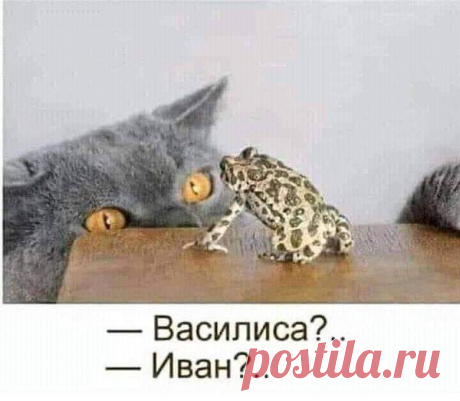 (1) Facebook