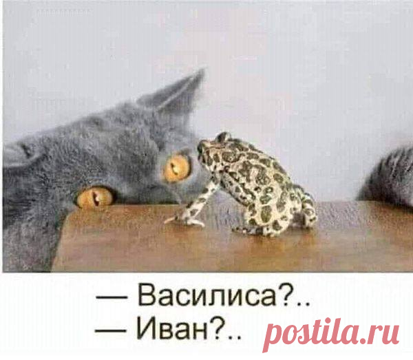 (1) Facebook