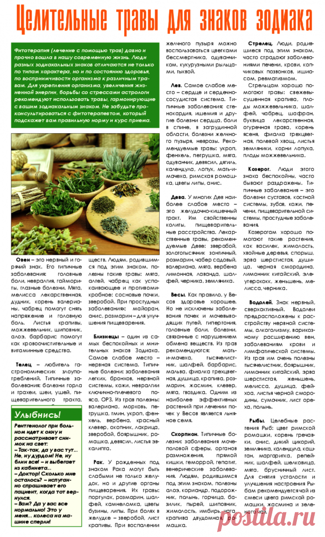 Целительные травы для знаков зодиака