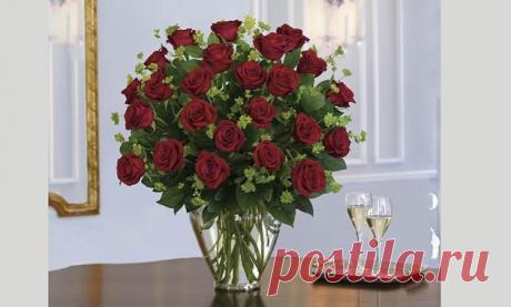 tulipanes de colores - Buscar con Google