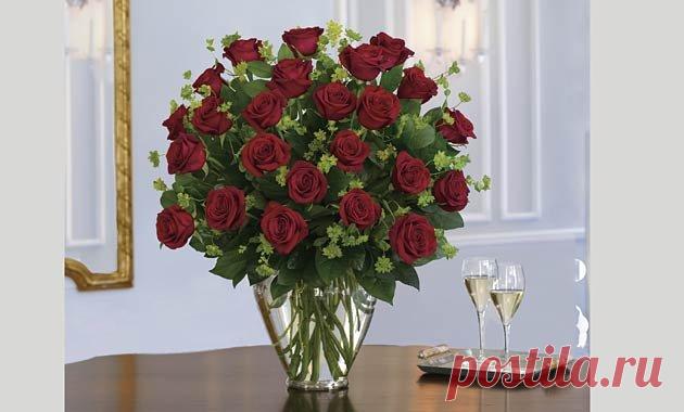 tulipanes de colores - Buscar con Google