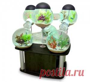 Как часто менять воду в аквариуме? | Оформление аквариума