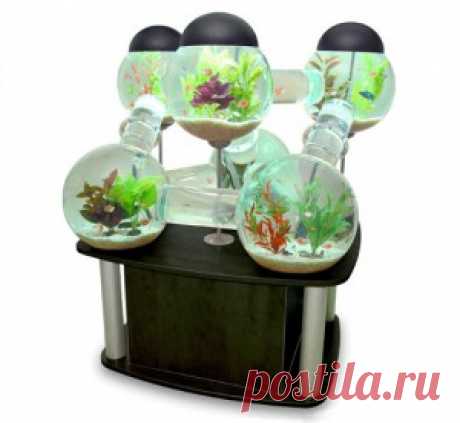 Как часто менять воду в аквариуме? | Оформление аквариума