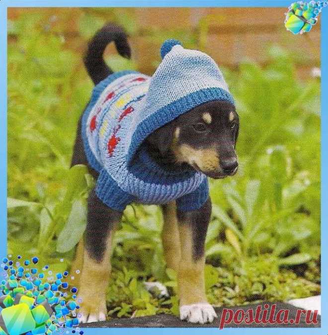 Кофточка с капюшоном для собачки