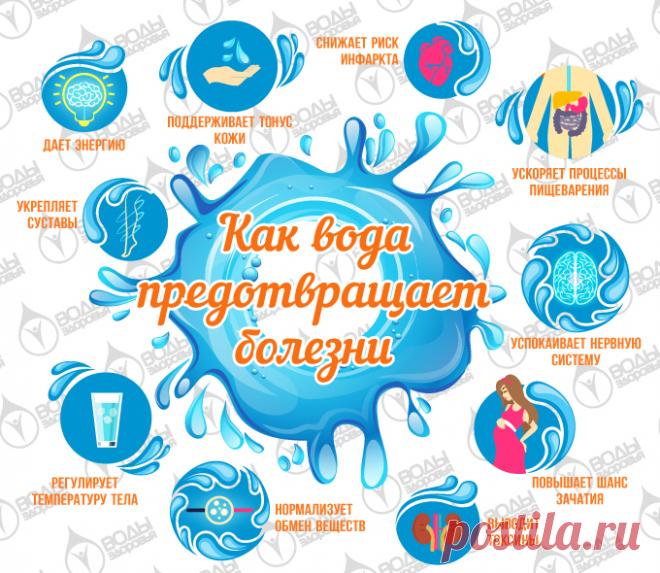 Как вода предотвращает болезни