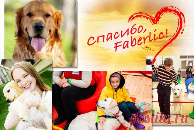 Каждый раз, делая заказ по каталогу Faberlic, вы помогаете детям с ограниченными возможностями! Благодаря такой финансовой помощи развивается Учебно-кинологический центр «Собаки – помощники инвалидов». Ваш заказ – это всегда маленькая помощь программе.