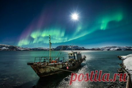 15 фотографий дикой природы России, от которых замирает сердце