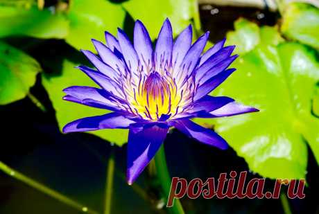 Редактировать описание