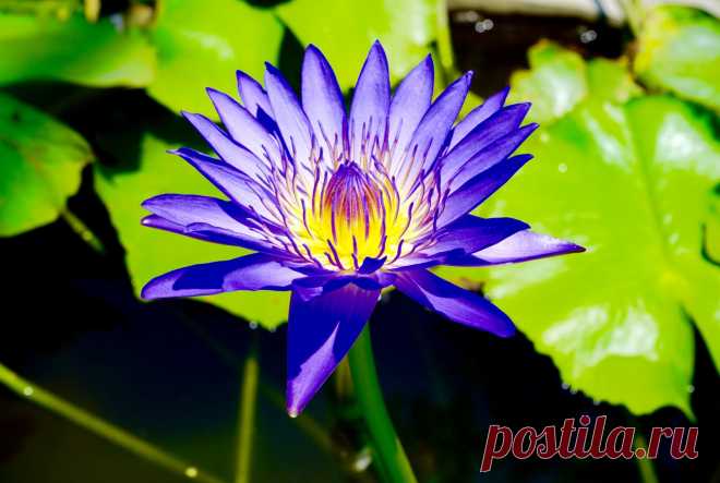 Редактировать описание