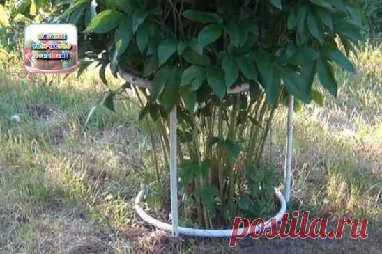 Конструкция для подвязки пионов       
 
Подготовка  
 
Нам понадобится:  
1. металлопластиковая водопроводная труба  
2. кусок дерева, в данном случае вагонка  
3. кусок садового шланга диаметром чуть больше водопроводной трубы  
4. саморезы