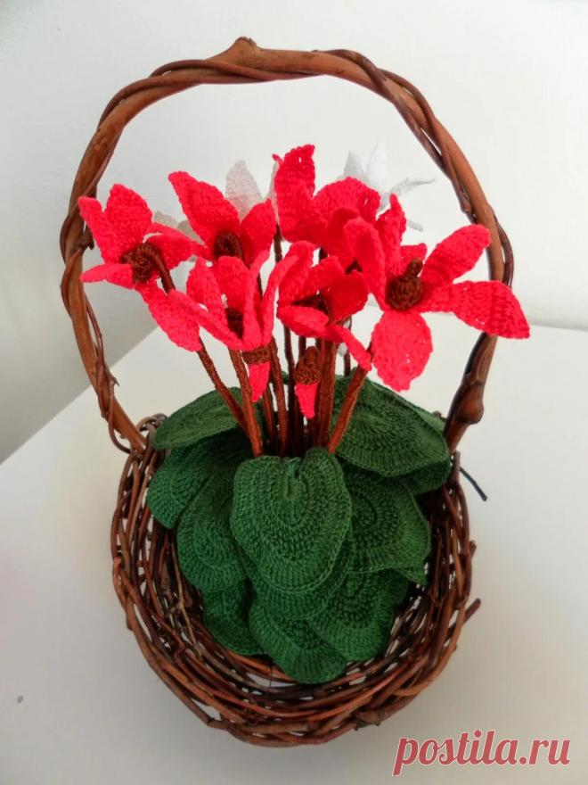 вязанные цикламены: 2 тыс изображений найдено в Яндекс Картинках
