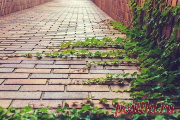 11 идей необычного использования кирпича в саду Красивая Кирпичная ДорожкаКирпичные тропинки в саду – это оригинальное решение, ведь применение кирпича позволяет фантазировать над формой дорожки: сделать ее более извилистой или наоборот – прямой. Комбинируя кирпичи различных цветов можно добиться прекрасного визуального эффекта игры цветами.