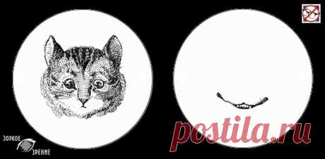 ⌘ ЗАРЯДКА ДЛЯ ГЛАЗ ⌘
Верни чеширскому коту улыбку!
Перед вами одно из сильнейших упражнений для тренировки зрительной системой и осознанного управления мышцами глаз.
Показать полностью...