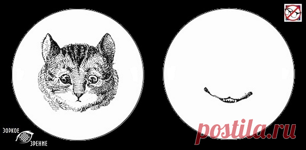 ⌘ ЗАРЯДКА ДЛЯ ГЛАЗ ⌘

Верни чеширскому коту улыбку!

Перед вами одно из сильнейших упражнений для тренировки зрительной системой и осознанного управления мышцами глаз.
Показать полностью...