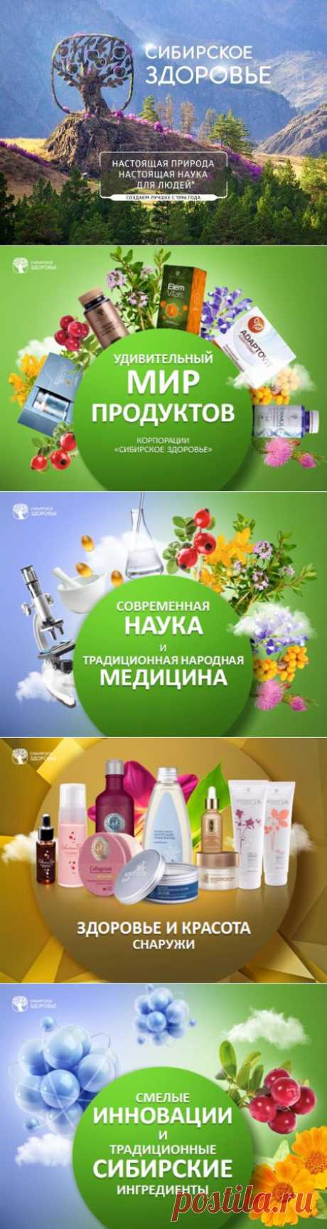 Новая и самая полная презентация Корпорации &quot;Сибирское здоровье&quot; » Мы из Сибири