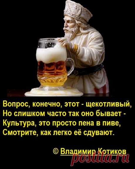 Вопрос, конечно, этот щекотливый, Но слишком часто так оно бывает - Культура, это просто пена в пиве, Смотрите, как легко её сдувают Владимир Котиков