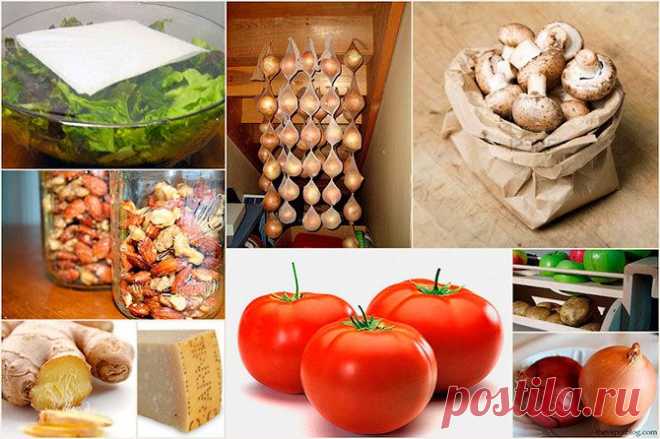 Проверьте, правильно ли вы храните продукты | Четыре вкуса