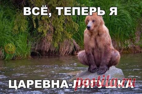 Позитив в картинках, улыбаемся...