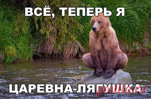 Позитив в картинках, улыбаемся...