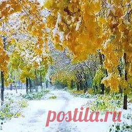 Интересные новости
