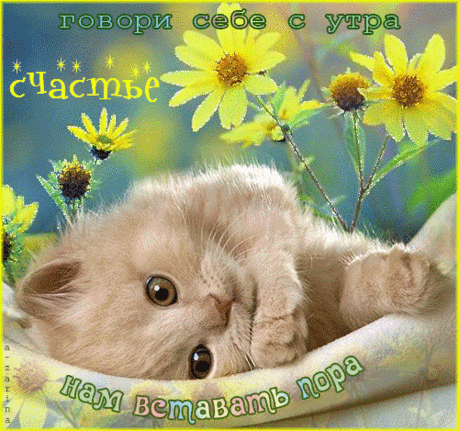 Мой Мир@Mail.Ru