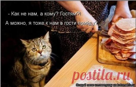 Четыре сыночка (котоматрица)