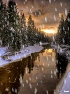 1101215.gif (240×320)