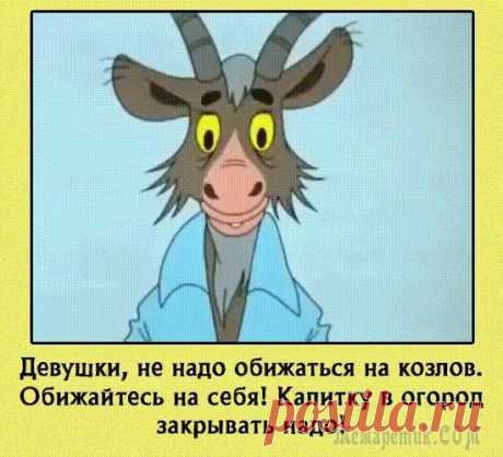 Заряжаемся позитивом: 25 отличных анекдотов и шуток для великолепного настроения на весь день Нет ничего лучше, чем находиться в окружении жизнерадостных, приветливых и позитивных людей — такие люди заряжают своей положительной энергетикой и вдохновляют жить, творить и побеждать.
Именно поэтом...
