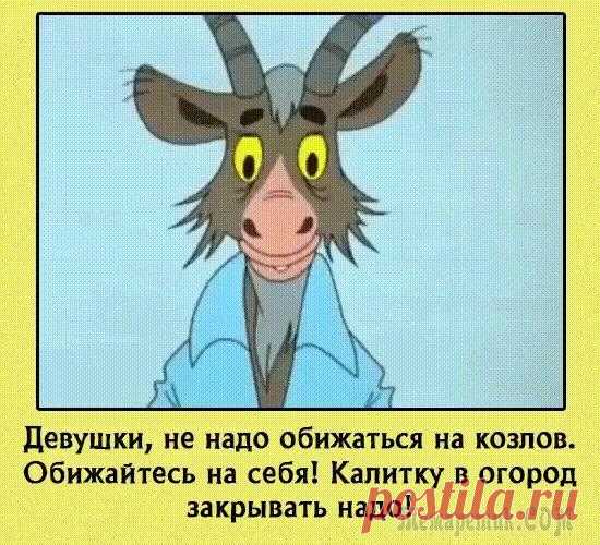Заряжаемся позитивом: 25 отличных анекдотов и шуток для великолепного настроения на весь день Нет ничего лучше, чем находиться в окружении жизнерадостных, приветливых и позитивных людей — такие люди заряжают своей положительной энергетикой и вдохновляют жить, творить и побеждать.
Именно поэтом...