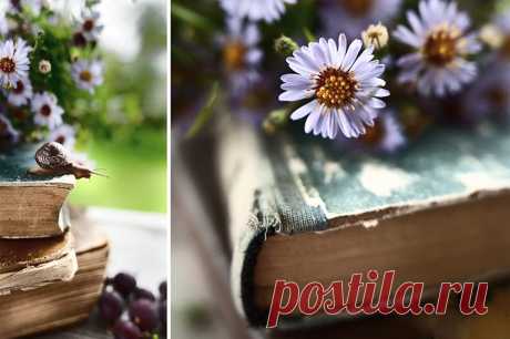 Диптих - 30 Дней Фотоприключений