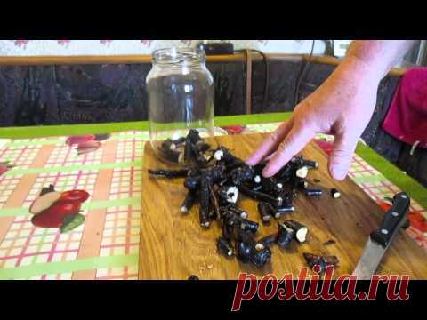 Настойка живокоста (окопника) своими руками.