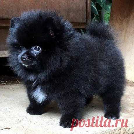 (48) Facebook