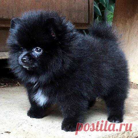 (48) Facebook