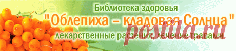 Алтей лекарственный