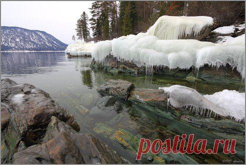 Телецкое озеро. Малахитовая заводь. Горный Алтай.