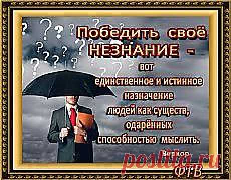 Письмо «ЛЕЧЕНИЕ СОДОЙ.Советы,отзывы.рекомендации |... и другие материалы. Новое в Вашей подборке на Постиле» — Постила — Яндекс.Почта