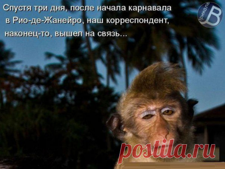 Новости