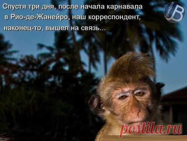 Новости