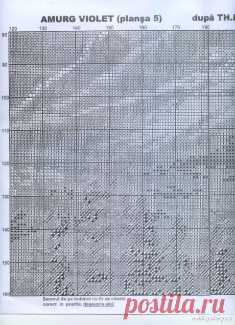 Gallery.ru / Фото #1 - G735 - zayatz-ezh
