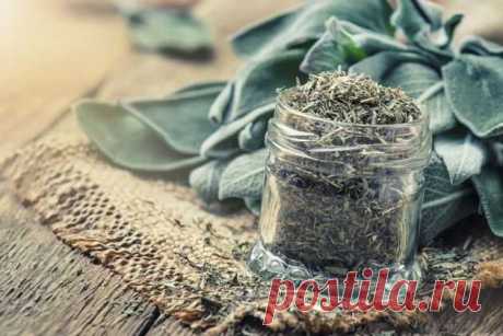 7 растений, обладающих противовирусным действием.