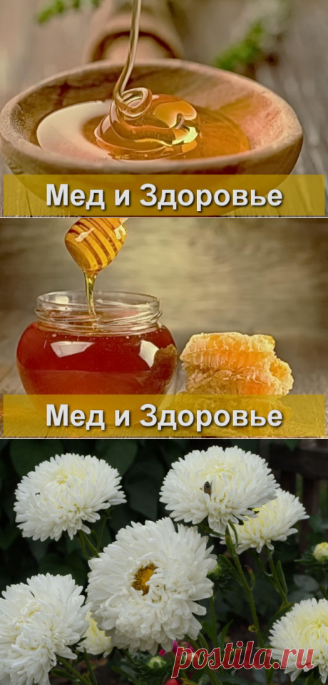 Лечебные свойства меда - способы применения меда для здоровья
