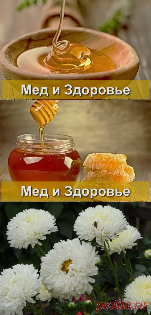 Лечебные свойства меда - способы применения меда для здоровья