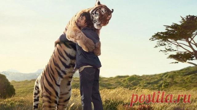 Звериная благодарность