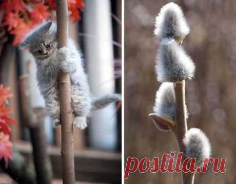 Мой Мир@Mail.Ru