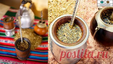 Чай Мате - стимулируйте свой организм здоровым способом