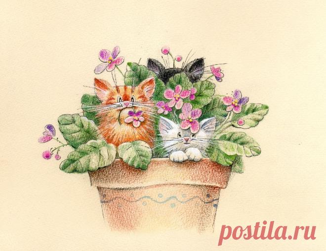 Юлия Корякина. Иллюстрация Фиалки....