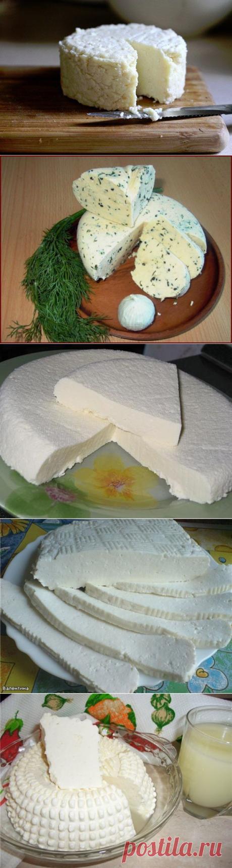 ТОР - 14 Подборка вкусных домашних сыров! | Готовим вместе