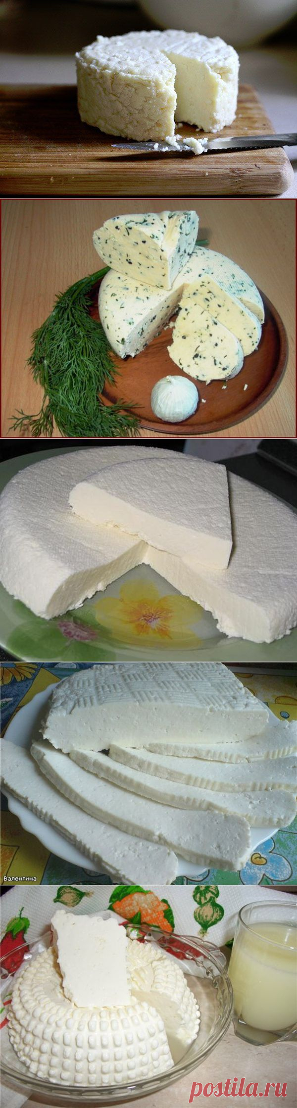ТОР - 14 Подборка вкусных домашних сыров! | Готовим вместе