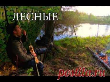ОДИН В ТАЙГЕ С МИНИМАЛЬНЫМ СНАРЯЖЕНИЕМ | ЛОВУШКА ДЛЯ РЫБЫ | ВЕРЕВКА ИЗ КОРЫ |  РЫБАЛКА