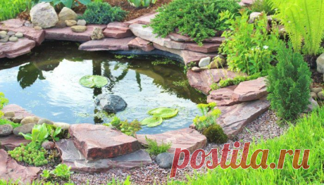 10 ошибок, которые лучше не допускать при сооружении водоема | Усадьба